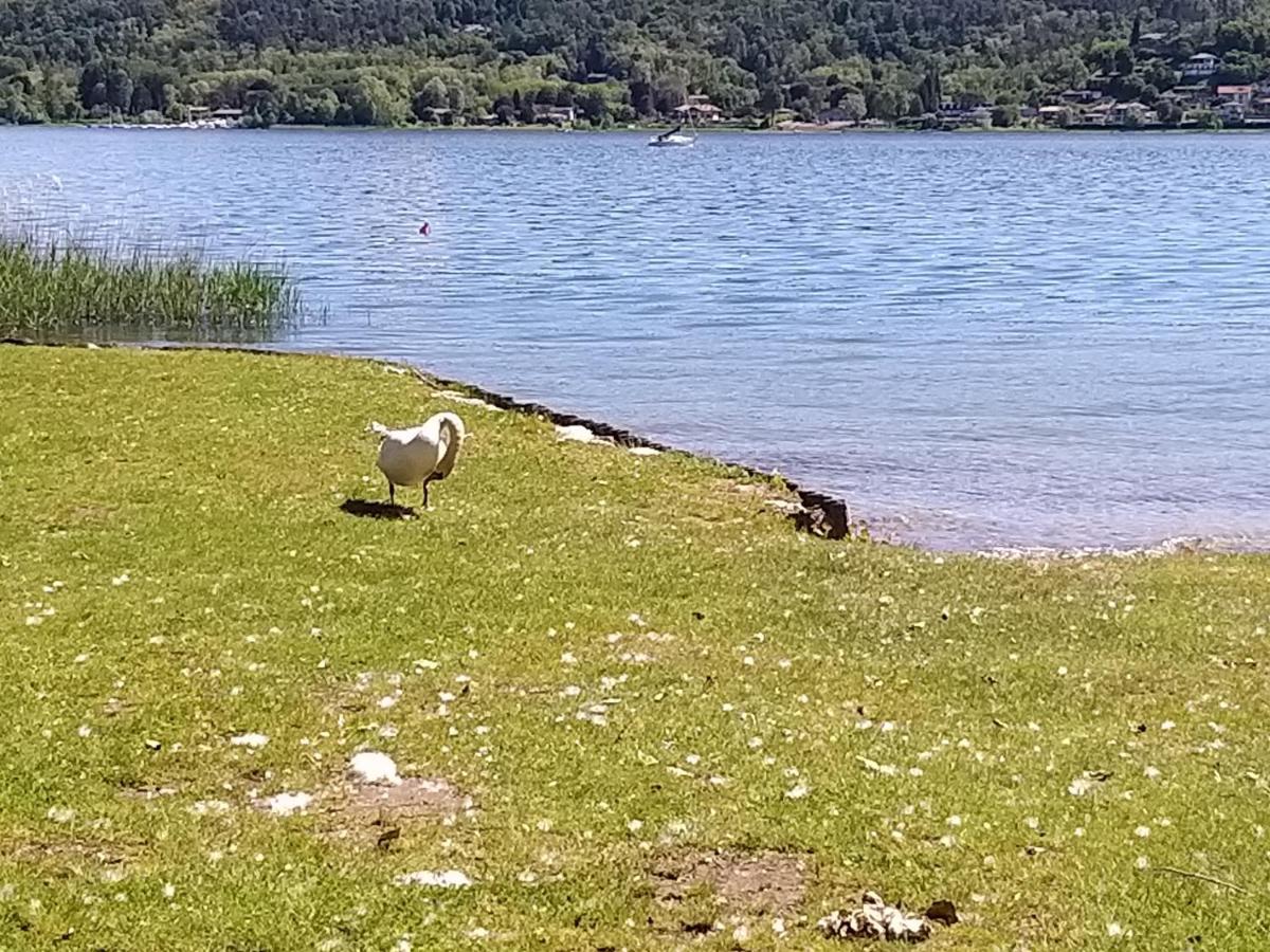 Ritratto Sul Lago Дормеллетто Экстерьер фото