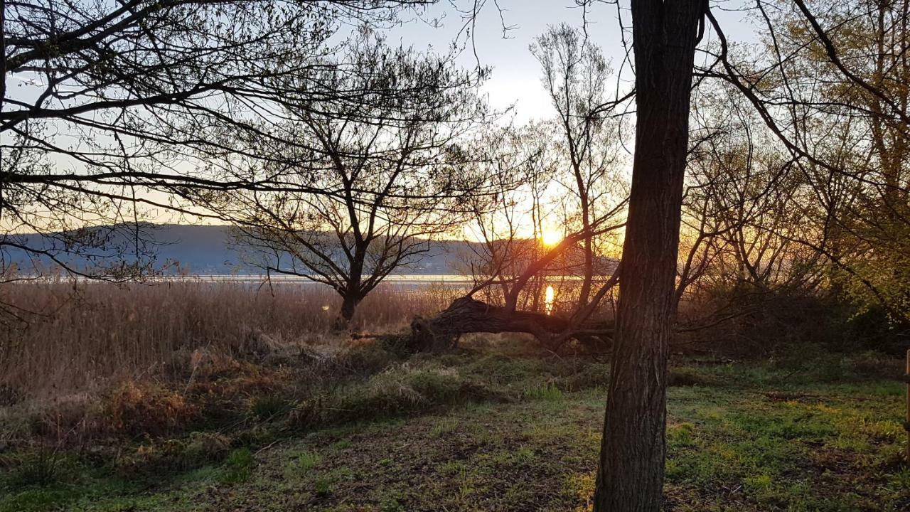 Ritratto Sul Lago Дормеллетто Экстерьер фото